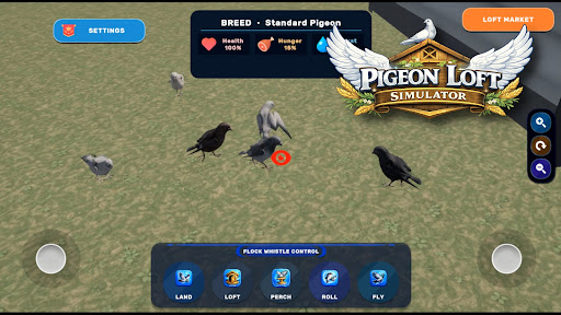 Pigeon Loft Simulator PC