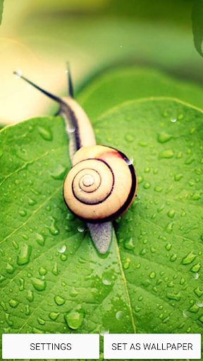 komputer Home Screen Live Wallpaper