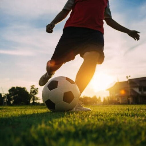 Football Pitch Simulator PC