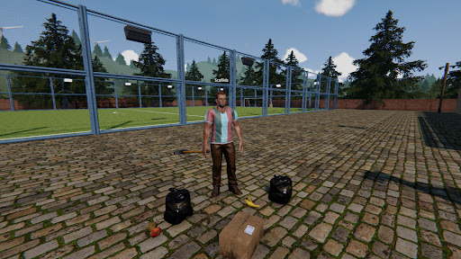 Football Pitch Simulator PC