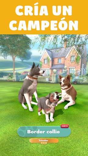 Pocket Paws: perros adorables PC