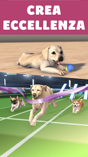 Pocket Paws: i miei cagnolini PC