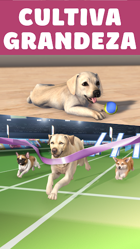 Pocket Paws: perros adorables PC