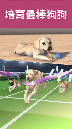 《口袋萌狗狗》：我可愛的狗狗電腦版