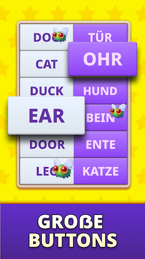 MomoLingo: Englisch und mehr PC