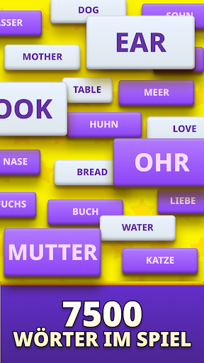 MomoLingo: Englisch und mehr PC