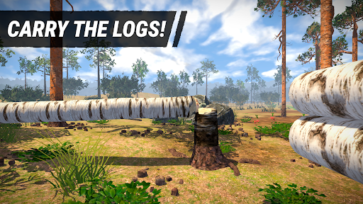 Lumberjack Simulator 3D电脑版