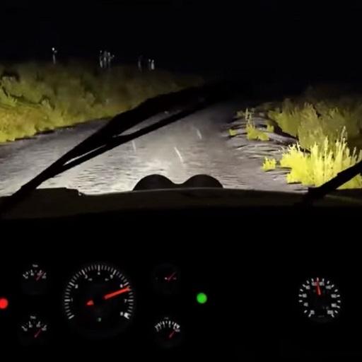 Endless Night Drive PC