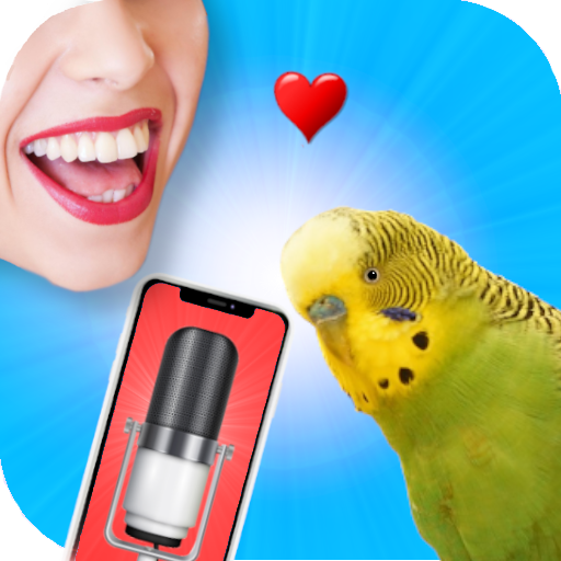 Bird Translator Simulator