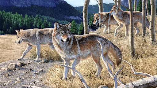 Wolf-spellen dierensimulator PC