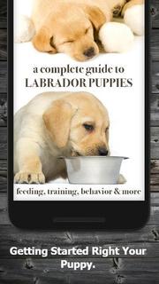 How to Take Care of a Puppy (G PC