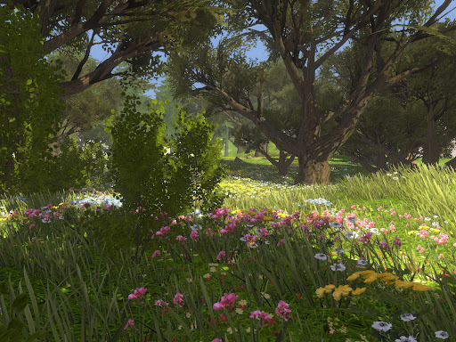 Wilderless Classic PC