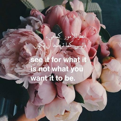 Arabic Quotes with English tra PC