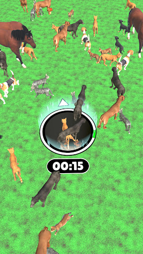 Animal Hole