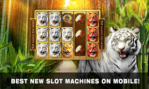 Slots Tiger King Casino Slots