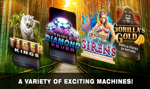 Slots Tiger King Casino Slots