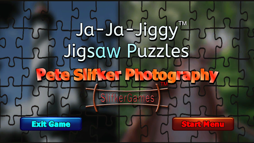 Ja-Ja-Jiggy Jigsaw Puzzles PSP PC
