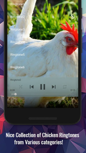 komputer Chicken Sounds