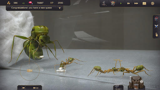 Ant Sim Tycoon ПК