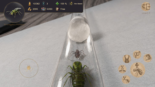 Ant Sim Tycoon ПК