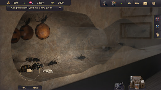 Ant Sim Tycoon ПК