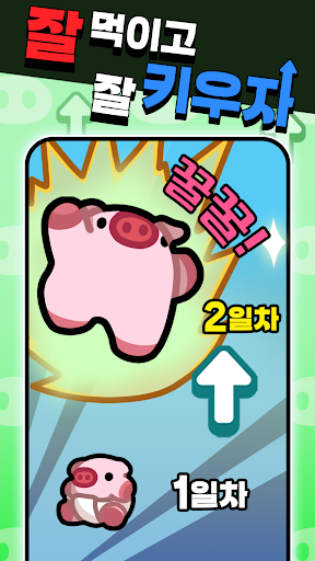 돼지 키우는 중입니다 : 국내산 PC