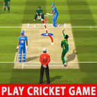 Play World Cricket Games پی سی