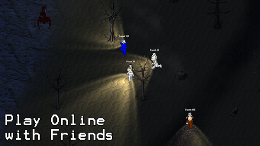 S2D Multiplayer PC