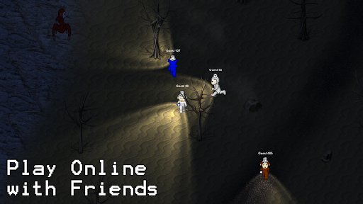 S2D Multiplayer PC