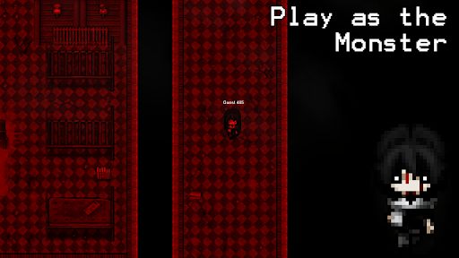 S2D Multiplayer PC
