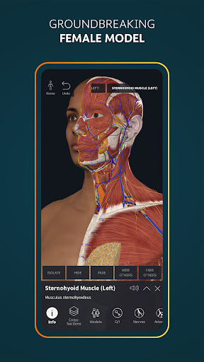 Complete Anatomy 2024 ПК