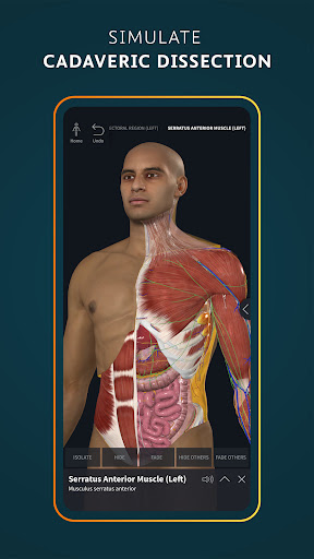 Complete Anatomy 2024 ПК