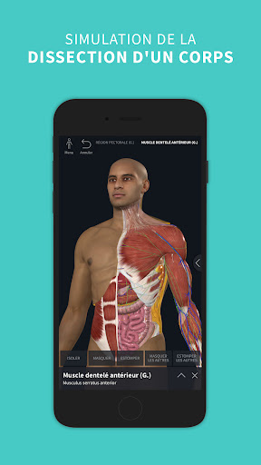 Complete Anatomy 2024 PC