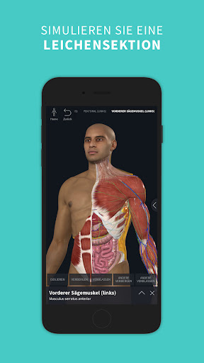 Complete Anatomy 2024 PC