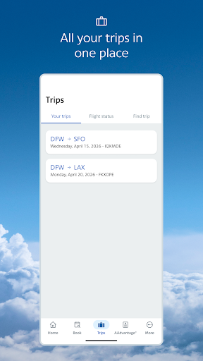 American Airlines PC