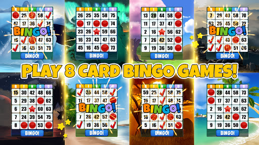 Absolutes Bingo