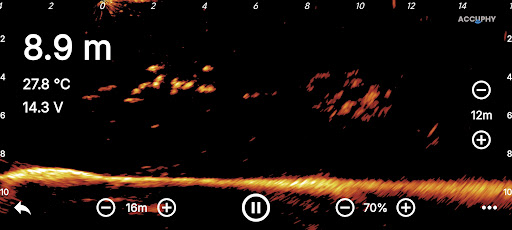 Accuphy Sonar PC