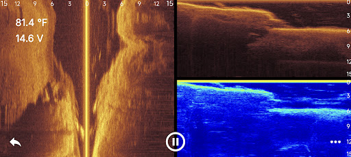 Accuphy Sonar PC