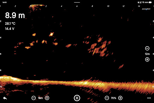 Accuphy Sonar PC