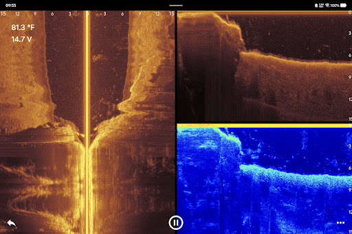 Accuphy Sonar PC