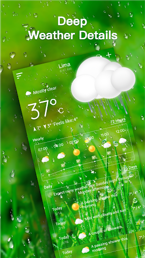 Live Weather Forecast PC