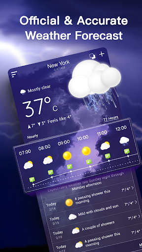 Live Weather Forecast PC