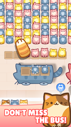 Box Cat Jam : Block Match