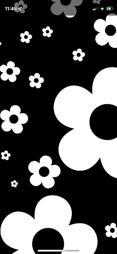 Baby Sensory: High Contrast PC