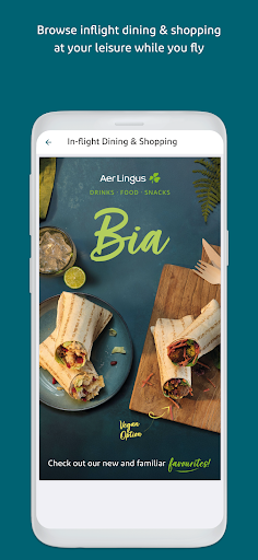 Aer Lingus App PC