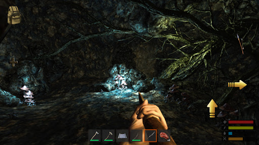 Survive: The Lost Lands الحاسوب