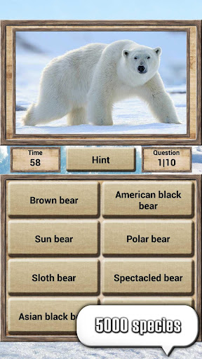 Animal Kingdom - Quiz Game PC