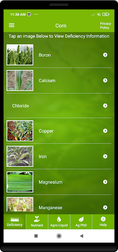Ag PhD Deficiencies PC