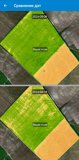 АгроСигнал. Скаутинг ПК