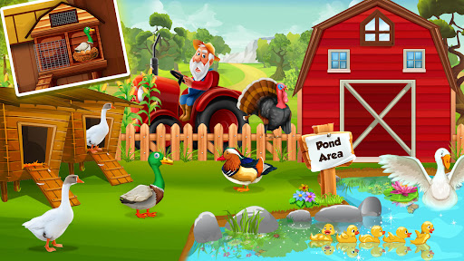 Duck Farm Eggs Chicken Poultry